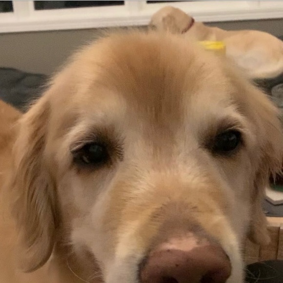 Meet your Posher, Kate - Picture 3 of 9